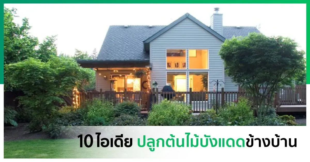 ต้นไม้บังแดดข้างบ้าน