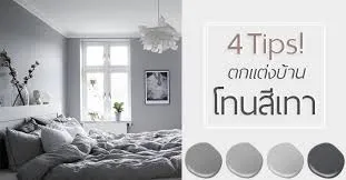 สีโมโนโครม